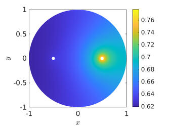 Asymmetric steady-state in no-flux 2-D domain with two diffusion-coupled Gierer-Meinhardt cells. © Merlin Pelz
